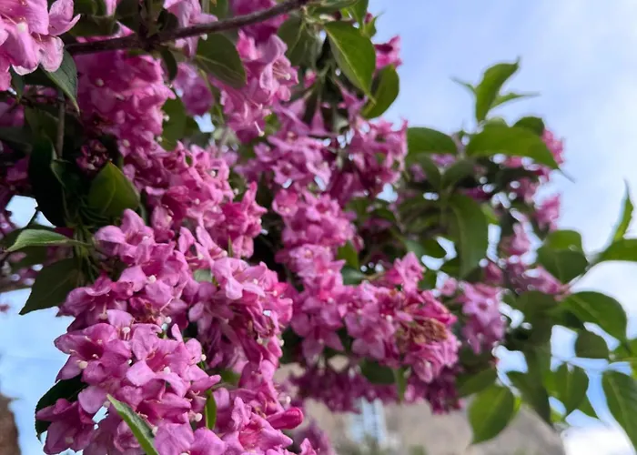 De Luxe Διαμέρισμα