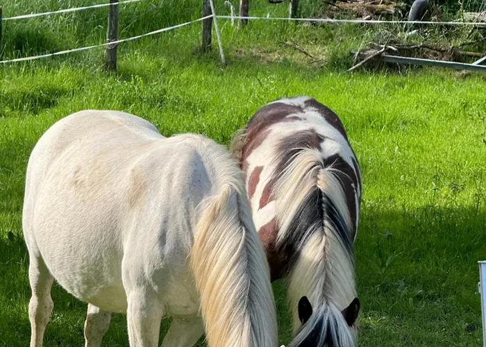 Διαμέρισμα De Luxe Champsevraine